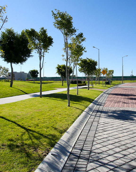 Desarrolladora SAGATO