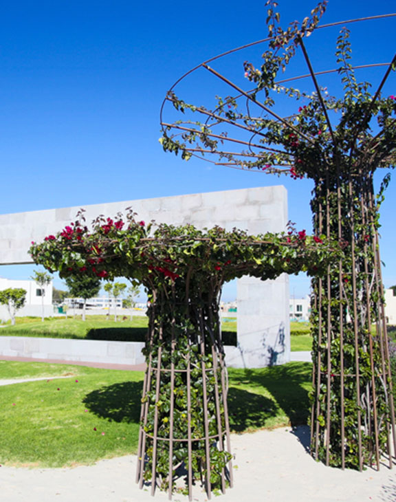 Desarrolladora SAGATO